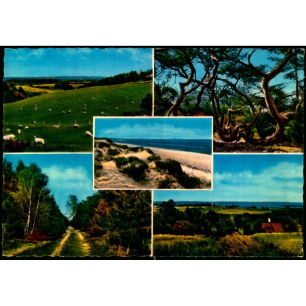 Asserbo - Karsemose - Rudolf Olsen  1086 - Ubrugt