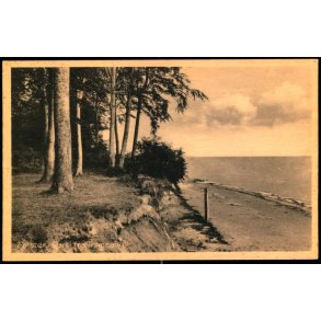 Falster - Parti fra Tromn�s - Mackepregs Bogh. 215 - Ubrugt