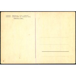 Kbenhavn - Hotel Terminus - u/n - Ubrugt