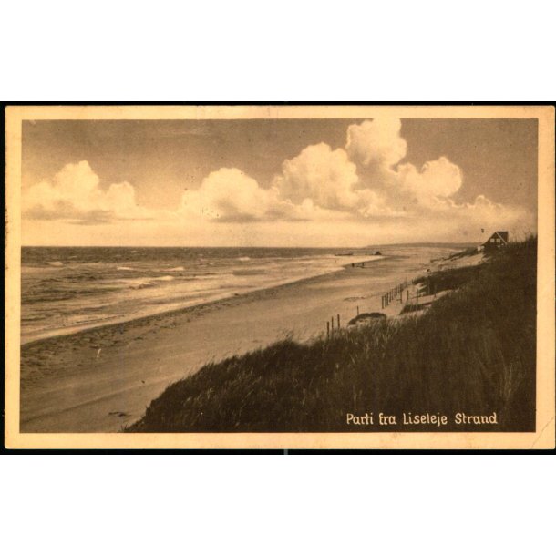 Parti fra Liseleje Strand - Kbm. E. Dr�by u/n