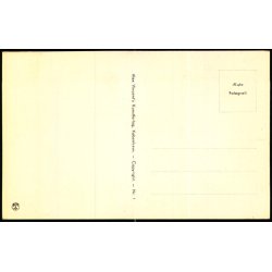 Kig ind i Marmorsalen - Hindsgavl Slot - Alex Vincent 1 - Ubrugt