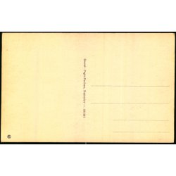 Partier fra Ries - Papir Paulsen 100 587 - Ubrugt