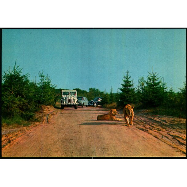 Vejle - Zoo - L�veparken   - Vejle Papir 6 - Ubrugt