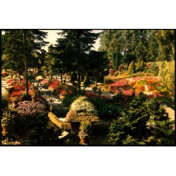 Jesperhus Blomsterpark - 9213 - Ubrugt