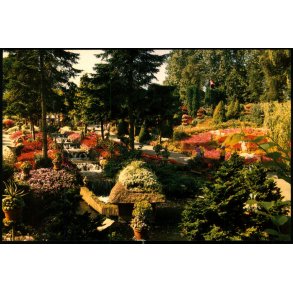 Jesperhus Blomsterpark - 9213 - Ubrugt