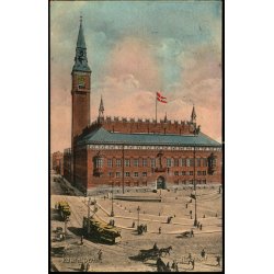 Kbenhavn - Raadhuset - Alex Vincent 8