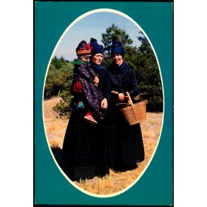 Fan�piger - Wadmanns 8967 - Brugt