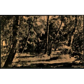 Asserbo - Skandia 16093 - Brugt