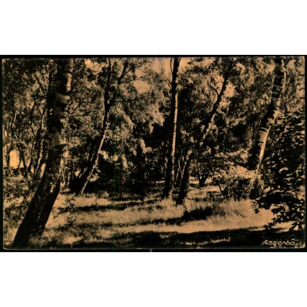 Asserbo - Skandia 16093 - Brugt