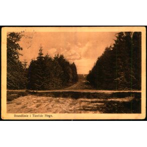 Brandlinien i Tisvilde Hegn - Alex Vincent 222 - Brugt