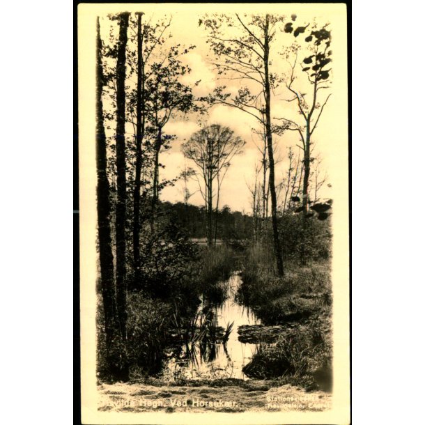 Tisvilde Hegn - Ved Horsek�r - Stationskiosken u/n - Ubrugt