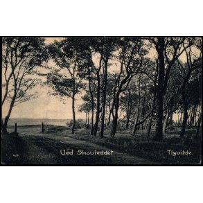 Ved Skovleddet - Tisvilde - Albert Jensens Bogh. 409 - Brugt