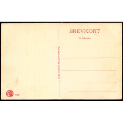 Koldinghus i gamle Dage - W.K.F. 1162 - Ubrugt