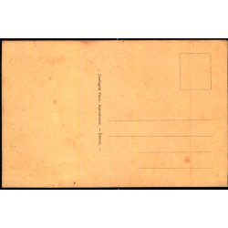 Zoologisk Have i Kbenhavn - Afrikanske Strudse - Zoo u/n - Ubrugt