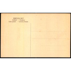 Sejr - Danmarkstoget - Brnehjlpsdagen 1906 - u/n - Brugt