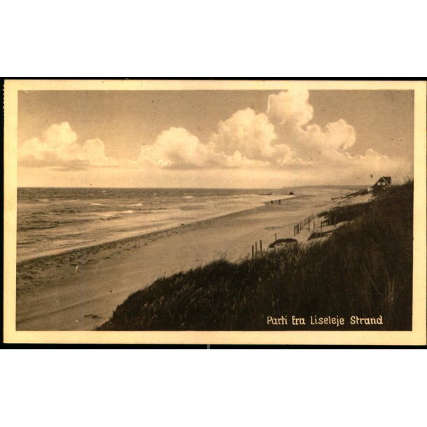 Parti fra Liseleje Strand - Kbm. E. Dr�by u/n