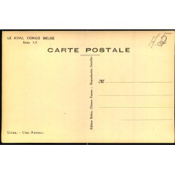 Congo Belge - Uvira - Une Avenue - Fotokort 1 - 3 - Ubrugt