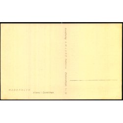 Haderslev - Alteret i Domkirken - Fotokort A.M. Lund 12 - Ubrugt