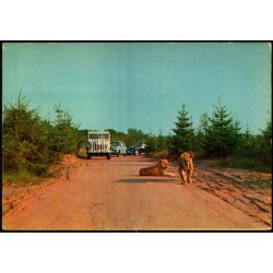 Vejle - Zoo - L�veparken   - Vejle Papir 6 - Brugt