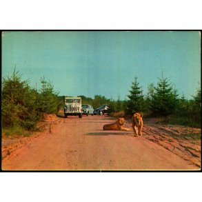 Vejle - Zoo - L�veparken   - Vejle Papir 6 - Brugt