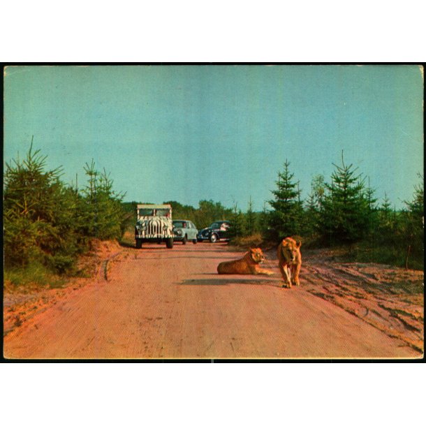 Vejle - Zoo - L�veparken   - Vejle Papir 6 - Brugt