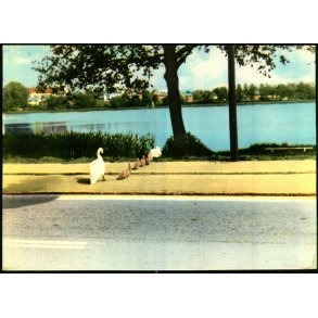 Hornb�k S� - u/n - Ubrugt