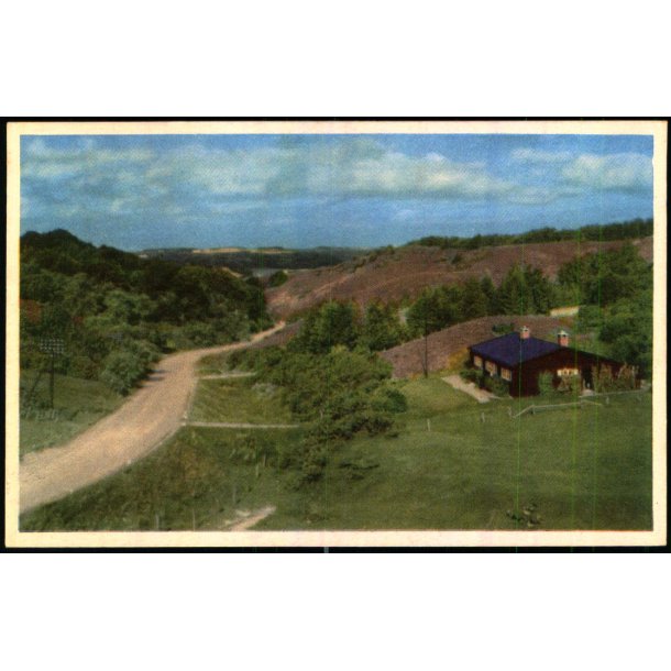 Hulvejen - Rebild Nationalpark - Stender 8 - Ubrugt