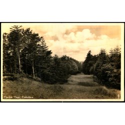 Tisvilde Hegn - Fr�bakken - Stationskiosken 106 - Brugt