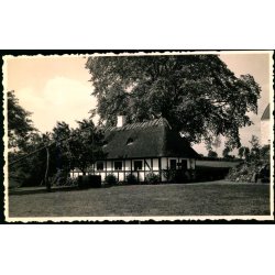  Ollerup - Fotokort O. Michelsen &amp; S. H�j  u/n - Ubrugt