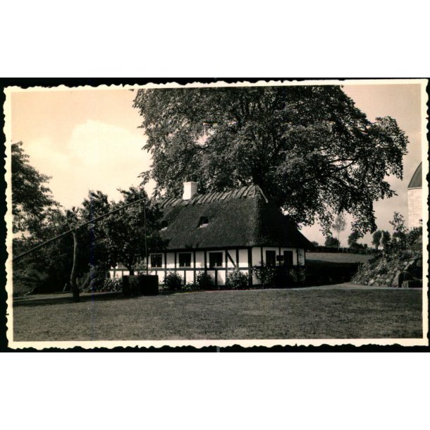  Ollerup - Fotokort O. Michelsen &amp; S. H�j  u/n - Ubrugt