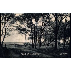 Ved Skovleddet - Tisvilde - Albert Jensens Bogh. 409 - Brugt