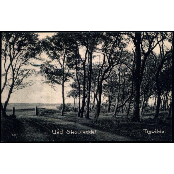 Ved Skovleddet - Tisvilde - Albert Jensens Bogh. 409 - Brugt