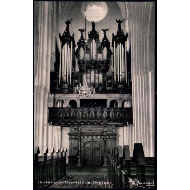 Haderslev Domkirke- Orglet - Fotokort A.M. Lund 1552 - Ubrugt