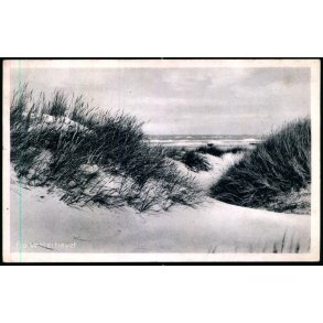 Fra Vesterhavet - V. 1 - Ubrugt