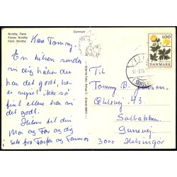 Fan� - Nordby - Stjerne Foto 35013 - Brugt