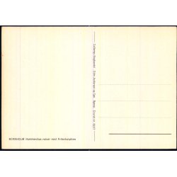 Bornholm - Hammershus Ruiner med Frihedssttten - Colbergs Bogh. 8237 - Ubrugt