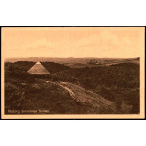 Faaborg - Svanninge Bakker - David I. Bager 62437 - Ubrugt