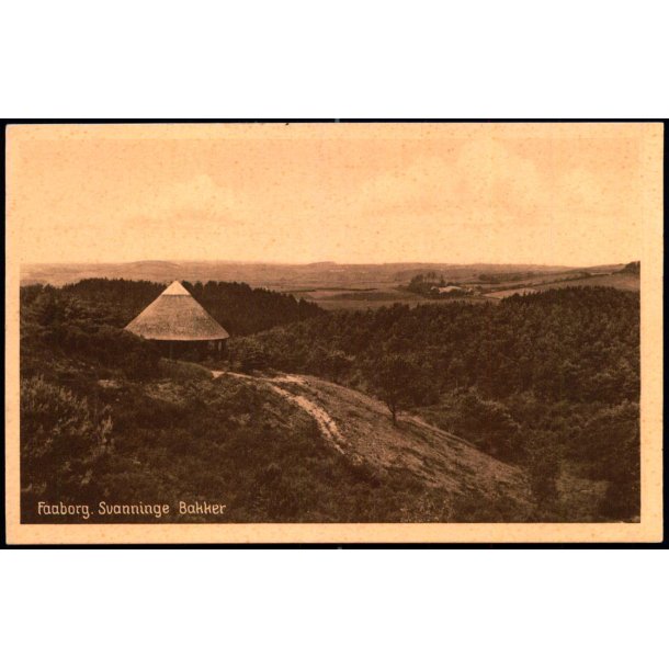Faaborg - Svanninge Bakker - David I. Bager 62437 - Ubrugt