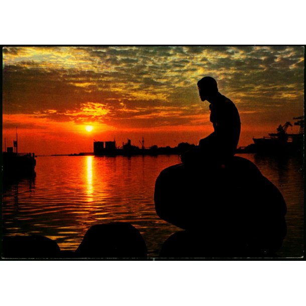 K�benhavn - Solopgang ved Den lille Havfrue - Stender 149 101 113