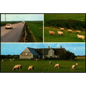 R�m� - Wadmanns 7528 - Ubrugt