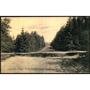 Tisvilde Hegn - (Granplantagerne) - Stender 6403 - Ubrugt