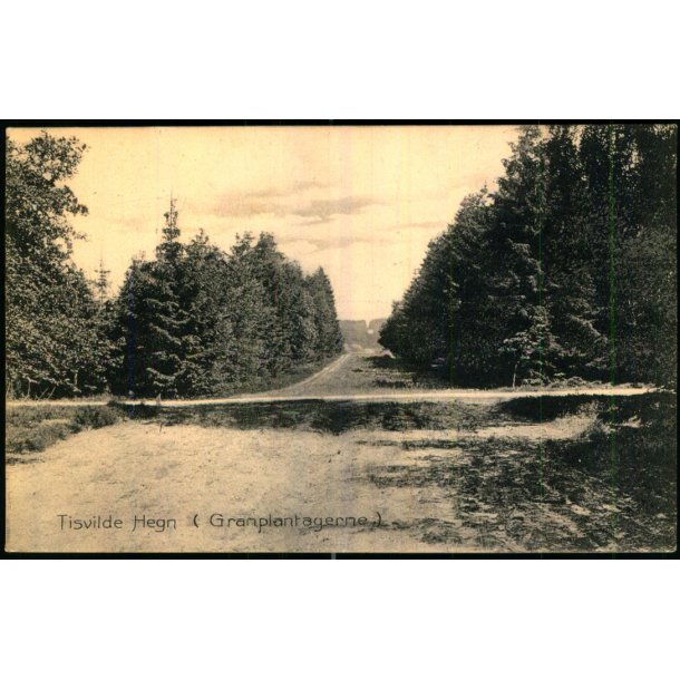 Tisvilde Hegn - (Granplantagerne) - Stender 6403 - Ubrugt
