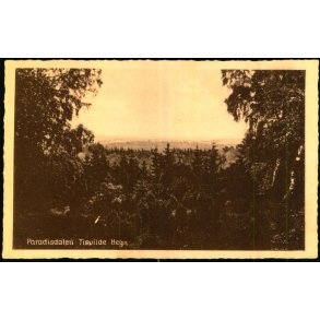Paradisdalen - Tisvilde Hegn - E. Ramlaus Bogh. 60176 - Ubrugt