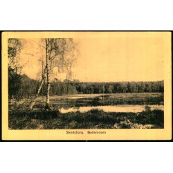 Skodsborg - B�llemosen  - Illum 134 - Brugt