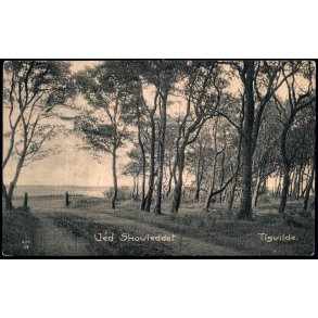 Ved Skovleddet - Tisvilde - Albert Jensens Bogh. 409 - Ubrugt