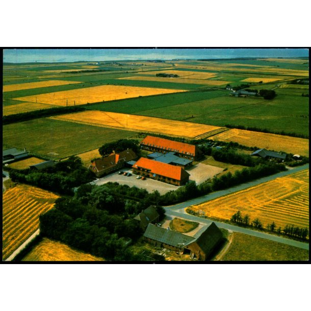 Vestjyllands H�jskole - Luftfoto Sylvest Jensen F 419-2 - Brugt