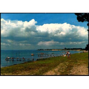 Kegn�s - A. Niemann 1209/97 - Brugt