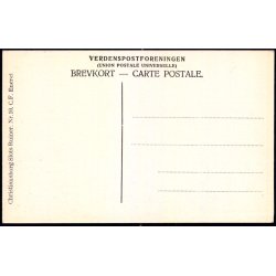 Folketingssalen i Sydfl�jen - Grundlovsgivende Rigsforsam. Christiansborg Slots Ruiner - Nr. 10 C.F.