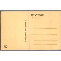 K�benhavn - Thorvaldsens Museum - A. Vincent 141 - Ubrugt