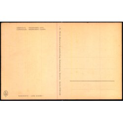Kbenhavn - Frederiksberg Have - K. Witt-Mller 6700 - 108 - Ubrugt